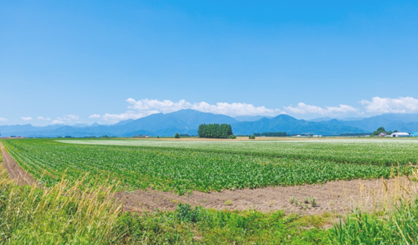 遊休農地とは？