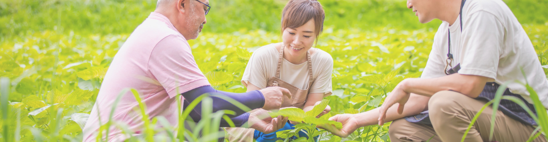 斑鳩の特産を見るのタイトルイメージ