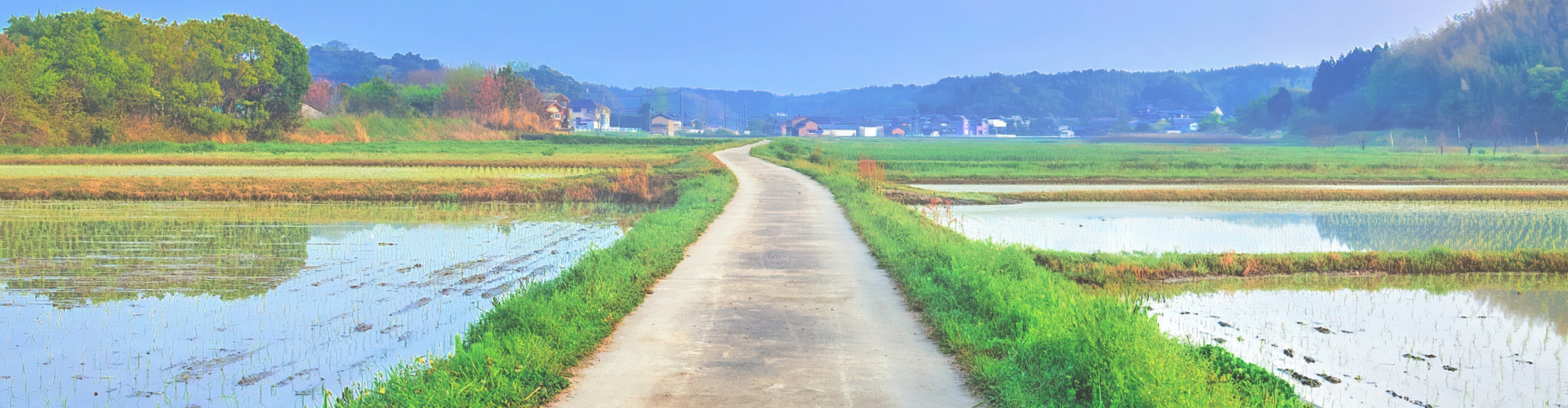お知らせのタイトルイメージ